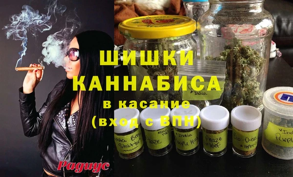 шишки Покровск