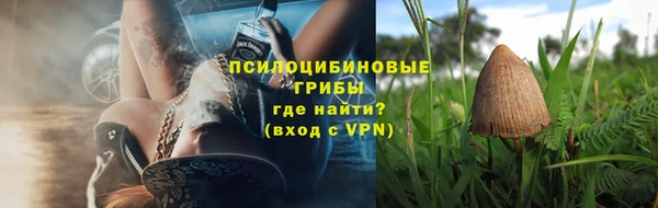 шишки Покровск