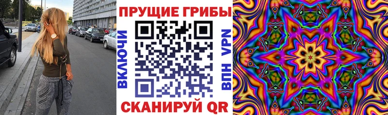 Галлюциногенные грибы Psilocybe  купить   Энгельс 