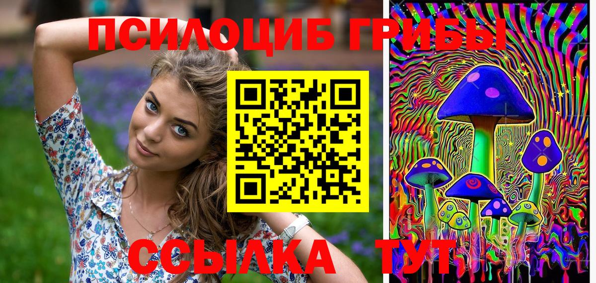 Псилоцибиновые грибы Psilocybe Энгельс